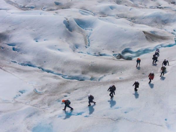 Big Ice Calafate - Imagem 4