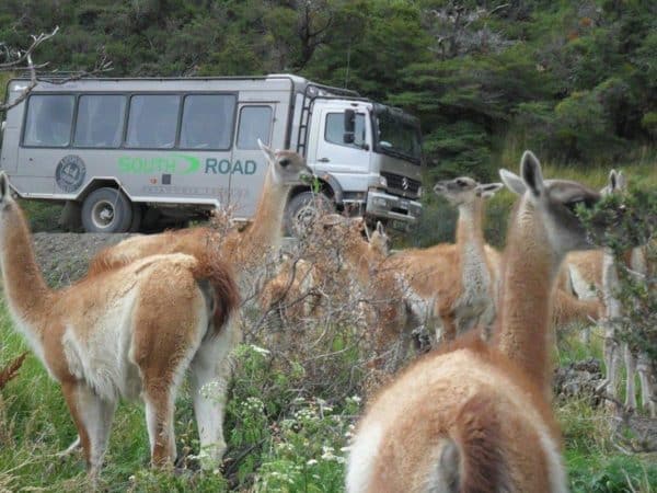 Aventura 4x4 Torres del Paine - Imagem 6