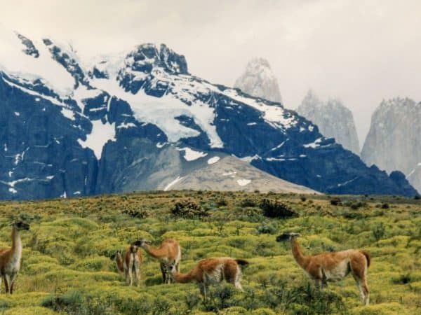 Aventura 4x4 Torres del Paine - Imagem 3