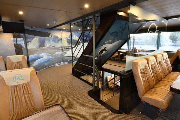 Navegação Glaciares Gourmet - Imagem 8